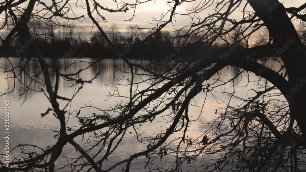 Close up of branches of a tree near a pond at autumn. Close up of branches of a tree near a pond at autumn.