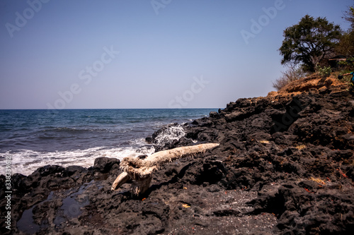 Panorama of a wild beach in the East of Bali, Indonesia photo