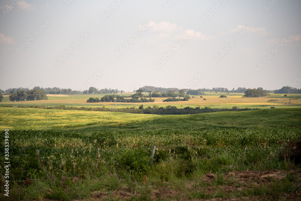 Rural landscape in soybean production fields in the city of São Vicente do Sul in Brazil