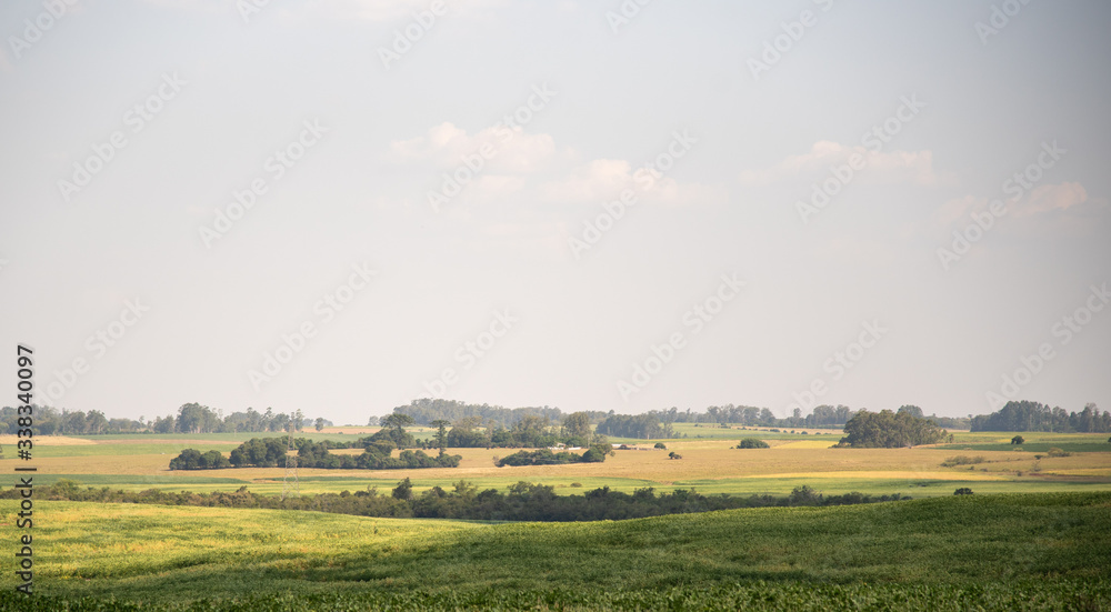 Rural landscape in soybean production fields in the city of São Vicente do Sul in Brazil
