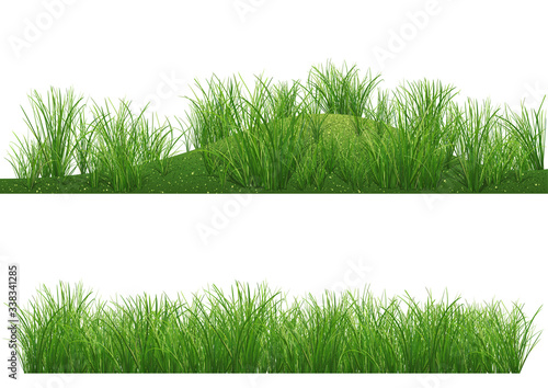 Set of Two Illustrations with Grass Background Isolated on White - Colored and Detailed Illustration, Vector Graphic