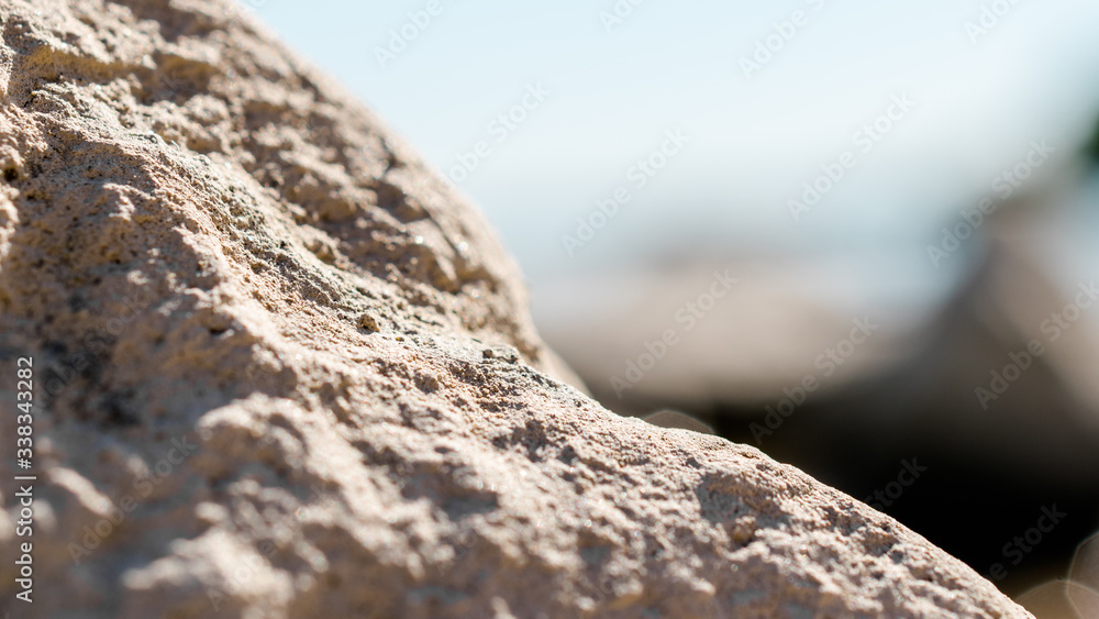 Surface of a stone on a beach. Surface of a stone on a beach.