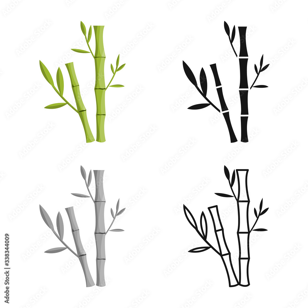 Vector design of bamboo and tree symbol. Set of bamboo and green stock vector illustration. - obrazy, fototapety, plakaty 