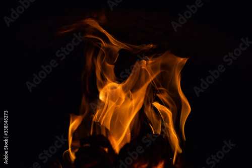 Burning wood in the furnace. Fiery tongues of flames