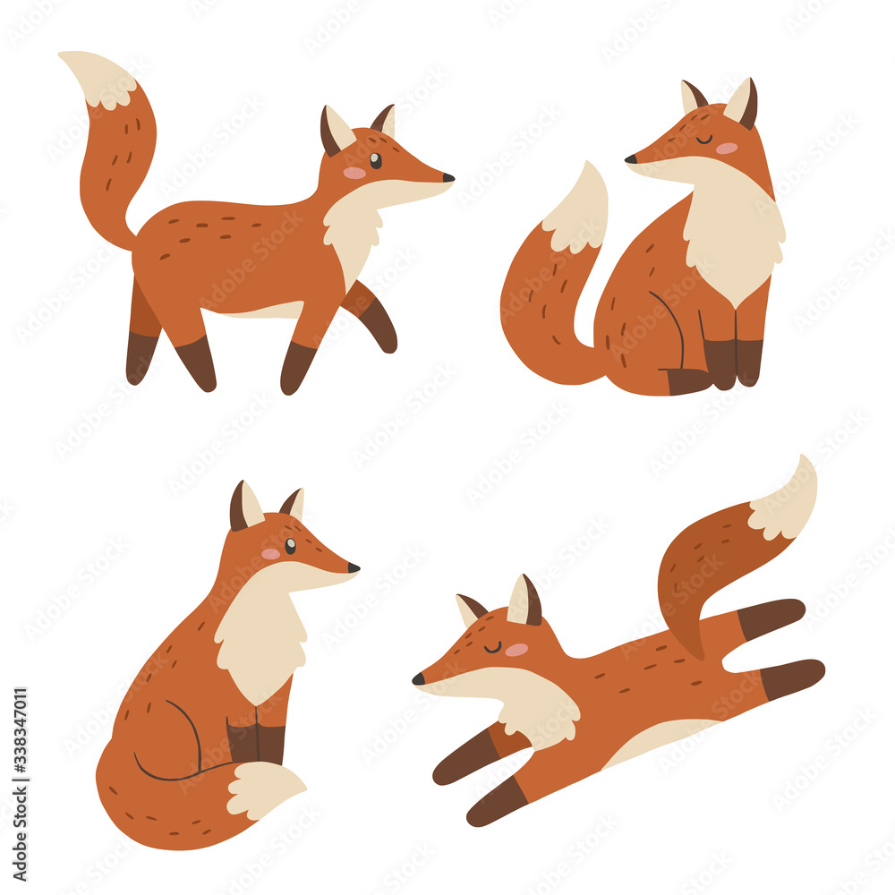 Set of cute foxes. Vector illustration.