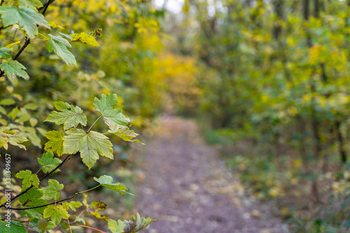 Wanderweg Lambsheim Rheinland Pfalz Deutschland photo