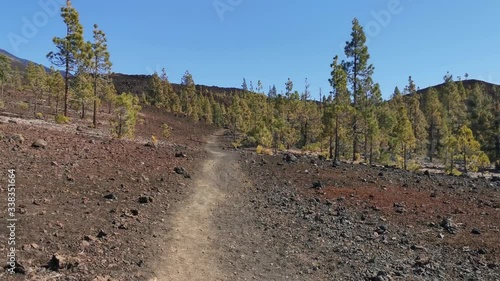 Espagne, Tenerife, parc national du Teide,  randonnée du volcan Samara