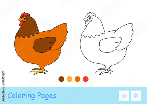 Colored template and simple colorless thick contour image of staying chicken for the youngest children coloring book. Domestic animals at farm, bird yard and on countryside. Fun and learning for kids.