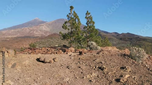 Espagne, Tenerife, parc national du Teide,  randonnée du volcan Samara
