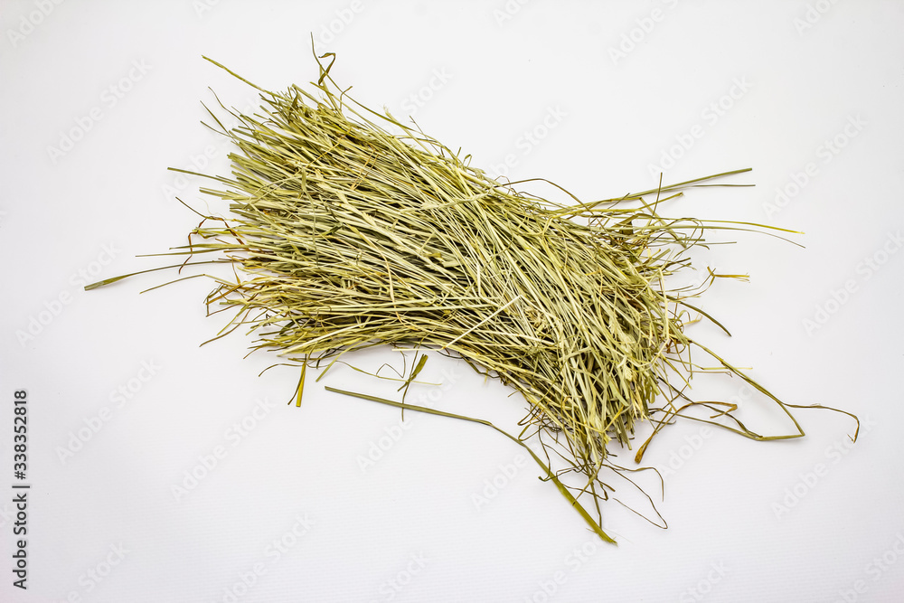 Bunch of hay isolated on white background. Dry herbs, food for domestic animals
