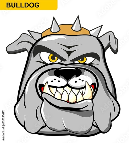 illustration cartoon of a wild and angry bulldog. Clipart isolated on withe