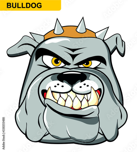 illustration cartoon of a wild and angry bulldog. Clipart isolated on withe photo
