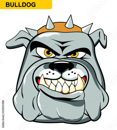 illustration cartoon of a wild and angry bulldog. Clipart isolated on withe