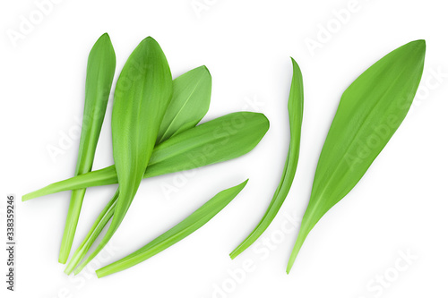 Ramson leaves isolated on white background with clipping path and full depth of field, Top view. Flat lay