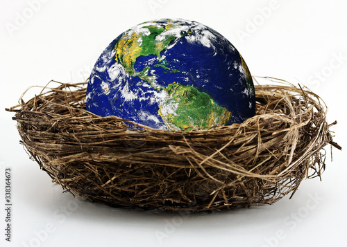 concept - planet earth in the nest