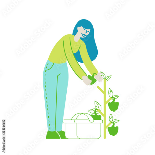 Happy Girl Gardening in Greenhouse or Garden Harvesting Bell Pepper to Basket. Woman Character Caring of Herbs and Plants in Orchard. Horticulture and Olericulture Hobby. Linear Vector Illustration