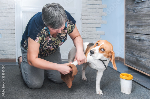 the owner of the dog washes her dirty paws after walking in a special device for washing paws and rags