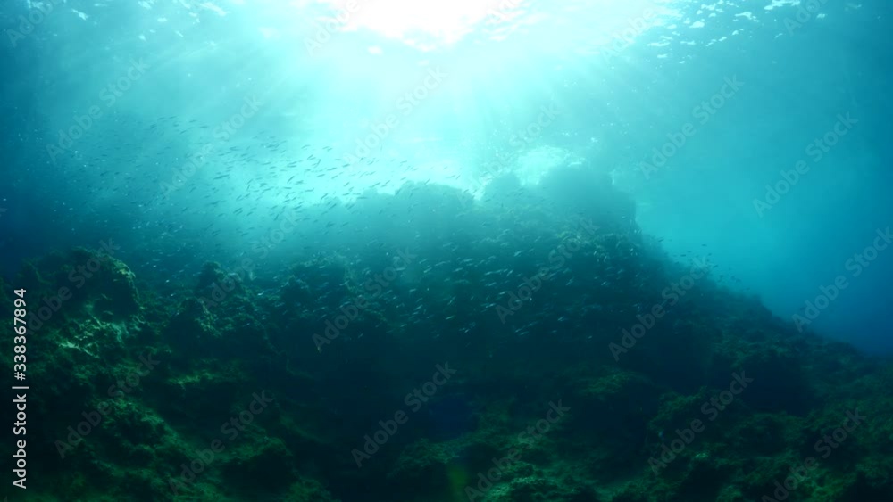 fish scenery underwater sun beams sun rays underwater mediterranean sea sun shine ocean scenery fish scenery underwater sun beams sun rays underwater mediterranean sea sun shine ocean scenery
