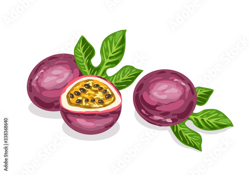 Passion fruit vector photo