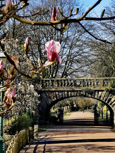 Springtime in Avenham and Miller Park, Preston  photo