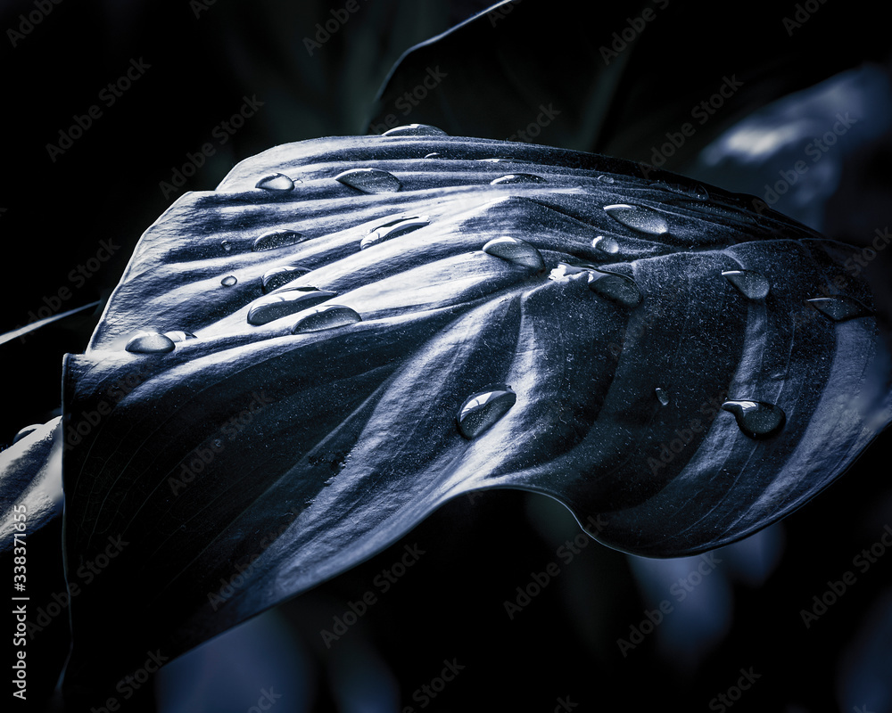 Naklejka premium Hiver automnale 