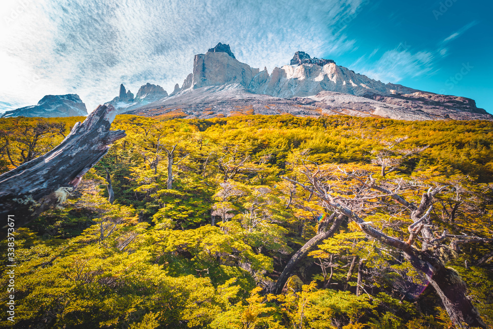Fototapeta Torres del Paine landscape