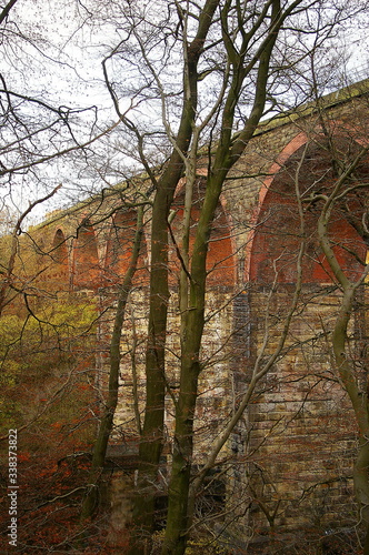 Trees in front of a viaduct photo