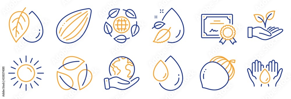 Set of Nature icons, such as Mineral oil, Sun. Certificate, save planet. Almond nut, Water drop, Leaves. Oil drop, Safe water, Acorn. Eco organic, Helping hand line icons. Vector Set of Nature icons, such as Mineral oil, Sun. Certificate, save planet. Almond nut, Water drop, Leaves. Oil drop, Safe water, Acorn. Eco organic, Helping hand line icons. Vector