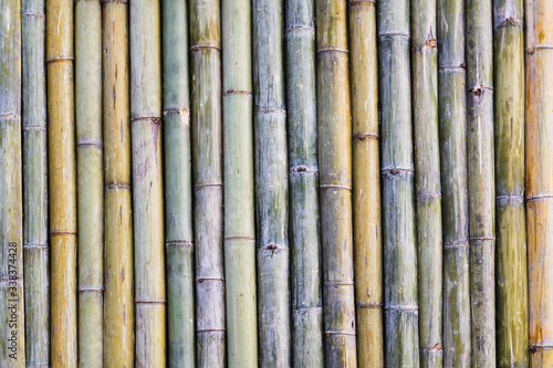 Soft Focus Bamboo fence background that was made to decorate the garden to look naturally beautiful from the patterns and stems of bamboo that is unique. Copy space on bamboo wall background