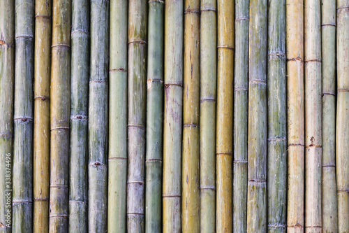 Soft Focus Bamboo fence background that was made to decorate the garden to look naturally beautiful from the patterns and stems of bamboo that is unique. Copy space on bamboo wall background