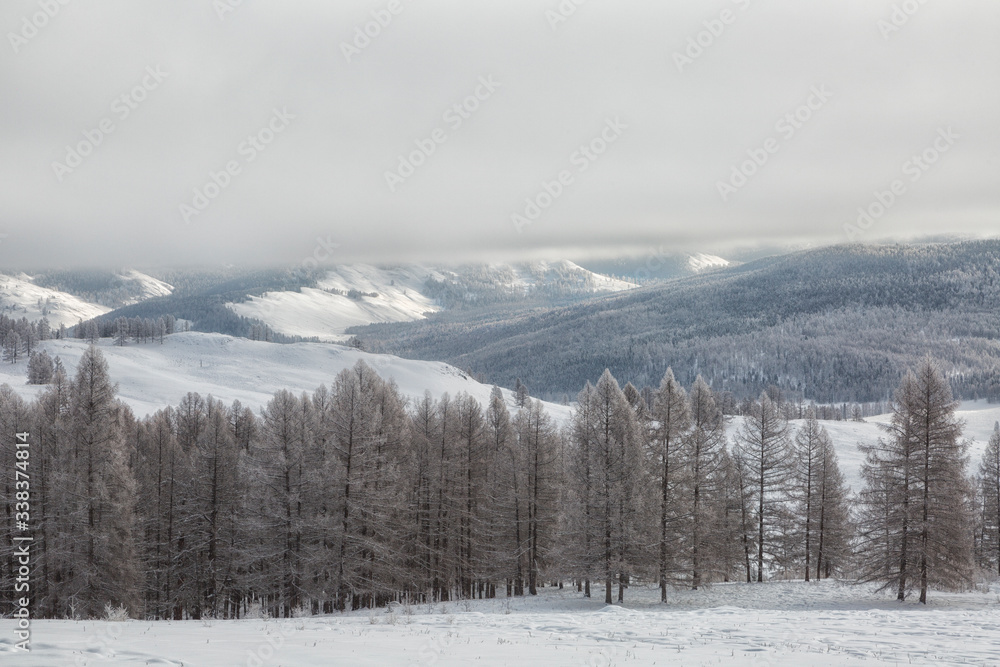 Winter landscape at cloudy day, Altai, Russia