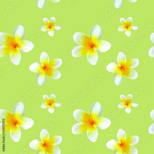 Vector seamless pattern of light yellow plumeria flowers. The flowers are made in a realistic style using the gradient mesh technique. Great for scrapbooking and abstract floral backgrounds.