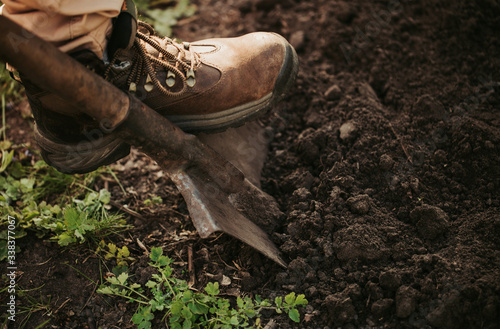 One man's foot in shoes with laces on shovel digging fresh dark ground. Planting and agricultural time. Close up and cut view.