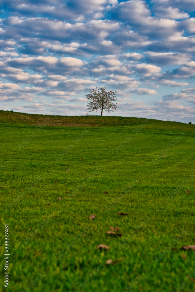 view in a beatiful landscape with blue sky view in a beatiful landscape with blue sky
