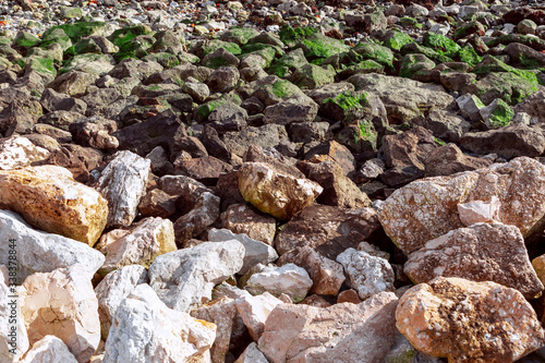 The texture of stones covered with various moss near the sea