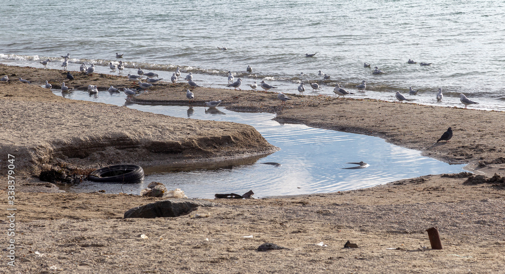 Dirty smelly sewage flows into sea on the sand of an open city beach. Ecological problem of environmental pollution by dumping of dirty sewage into sea