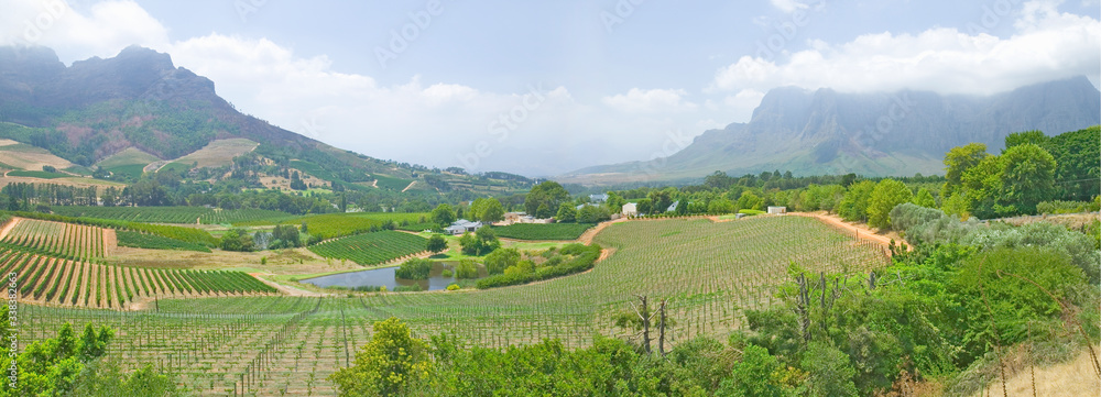 Panoramic view of Stellenbosch wine route and valley of vineyards, outside of  Cape Town, South Africa