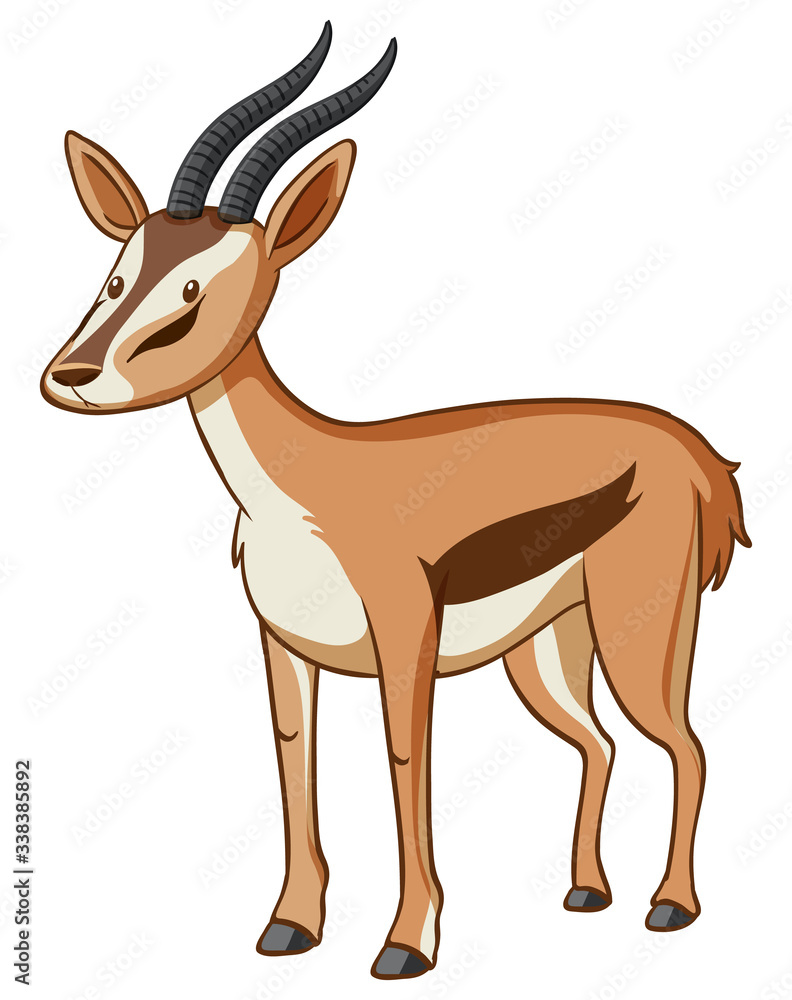 Cute gazelle standing on white background