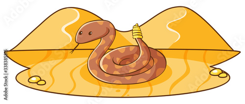 One rattle snake in the desert ground