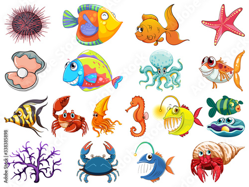 Large set of sea creatures on white background