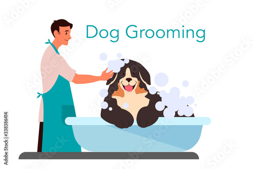 Dog washing service. Professional barber shampooing cute domestic