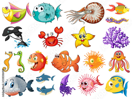 Large set of sea creatures on white background