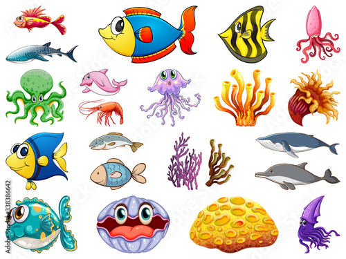 Large set of sea creatures on white background
