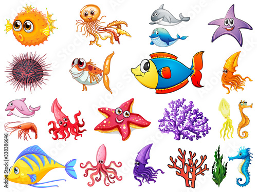 Large set of sea creatures on white background