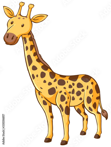 Cute giraffe standing on white background
