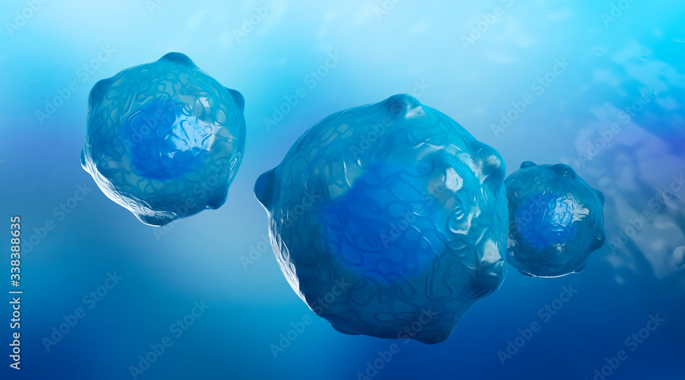 Embryonic stem cells , Cellular therapy , 3d rendering Embryonic stem cells , Cellular therapy , 3d rendering
