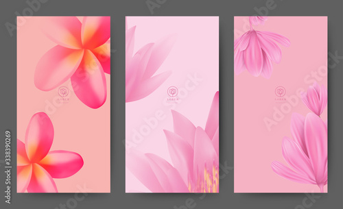 Branding Packaging Pink Soft blossom Flower nature background, logo banner voucher, spring summer tropical, vector illustration