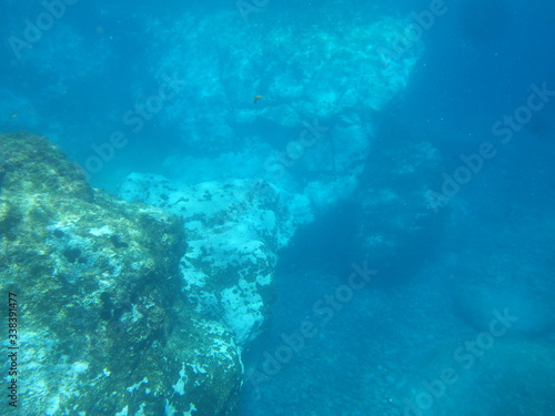 underwater scene with coral reef © CTS WebLab