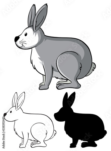 Set of rabbit cartoon