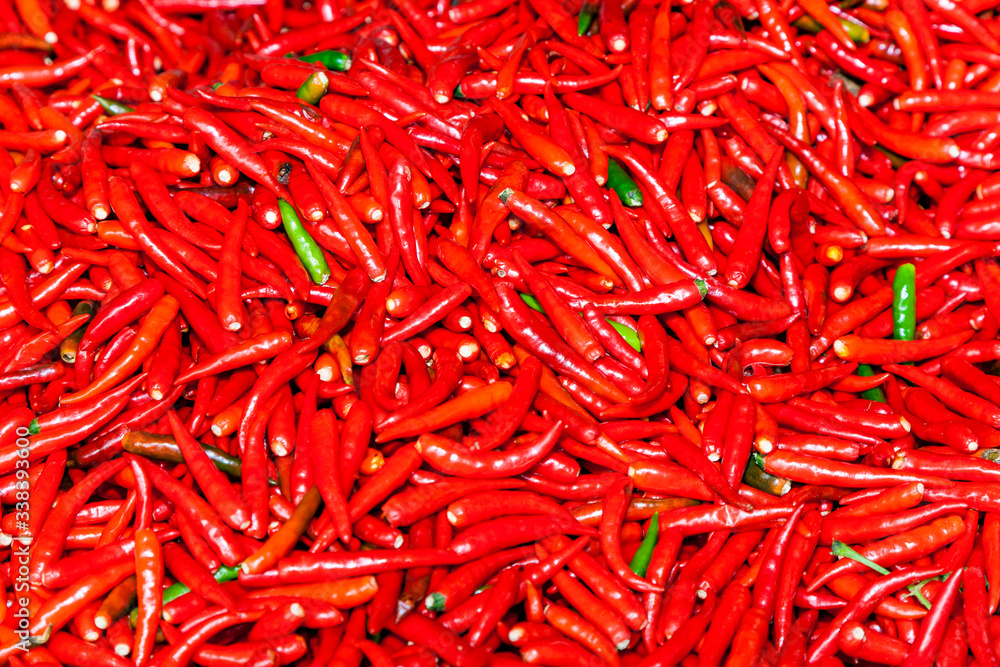 Fototapeta premium red and green chili peppers